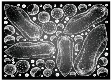 Elle Longan ve Papaya meyve kara tahta çizilmiş 