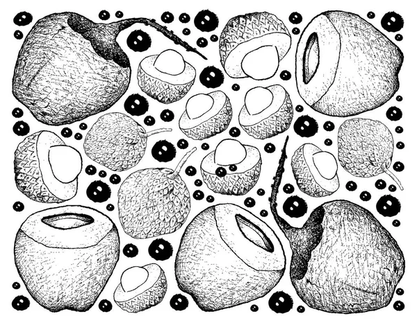 Fundo desenhado à mão de Lychee e frutas de coco —  Vetores de Stock