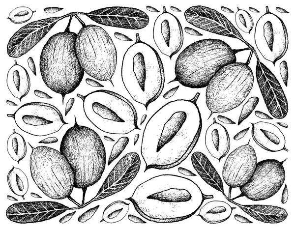 Fondo dibujado a mano de frutas frescas de Karanda — Archivo Imágenes Vectoriales