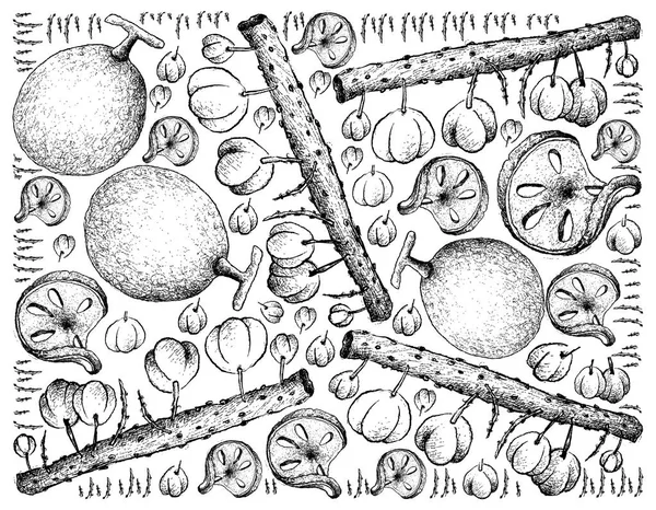 Fondo dibujado a mano de Bael y Otaheite frutos de grosella — Archivo Imágenes Vectoriales