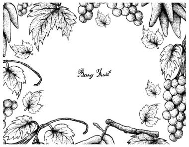 El çizimi kare Assyrtiko üzüm ve uzun üzüm