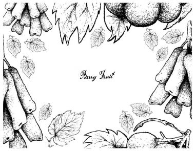 El çizimi çerçeve Moon düþer ve Pione üzüm