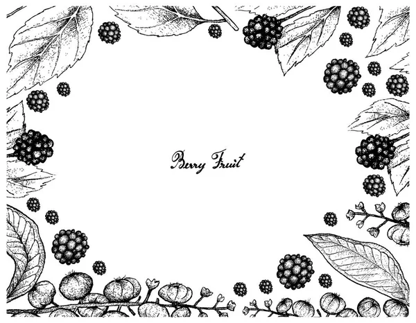 Cadre dessiné à la main de Beautyberry américaine et de potamot américain — Image vectorielle