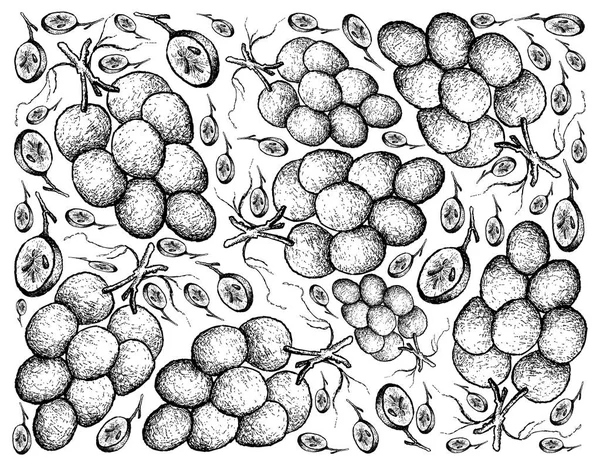 Desenho à mão Fundo de uvas vermelhas suculentas frescas — Vetor de Stock