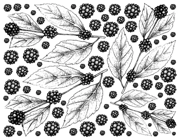 Hand Drawn Background of American Beautyberry Fruits — Stock Vector