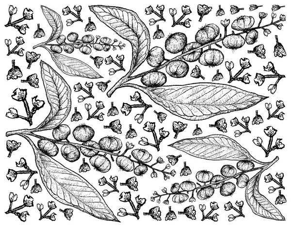 Hand Drawn Background of American Pokeweed Fruits — Stock Vector