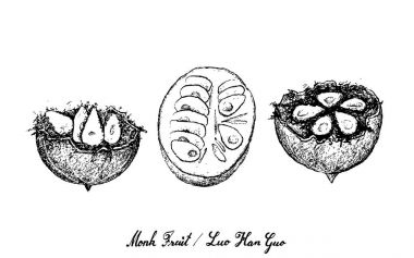 Hand Drawn of Monk Fruit on White Background clipart
