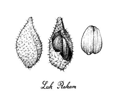 Elle luk Rakam beyaz arka plan üzerinde çizilmiş