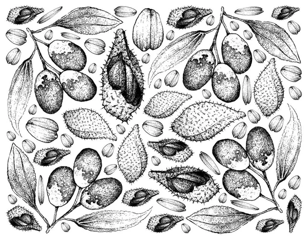 Luk Rakam とナツメ果実の描かれた背景を手します。 — ストック写真