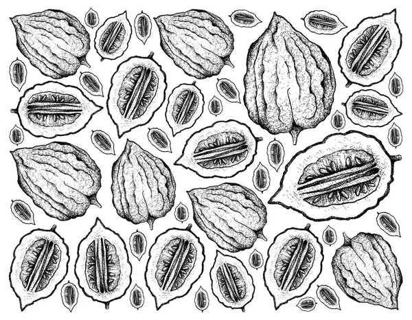 Hand Drawn Background of Fresh Etrog Fruit — Stock Photo, Image