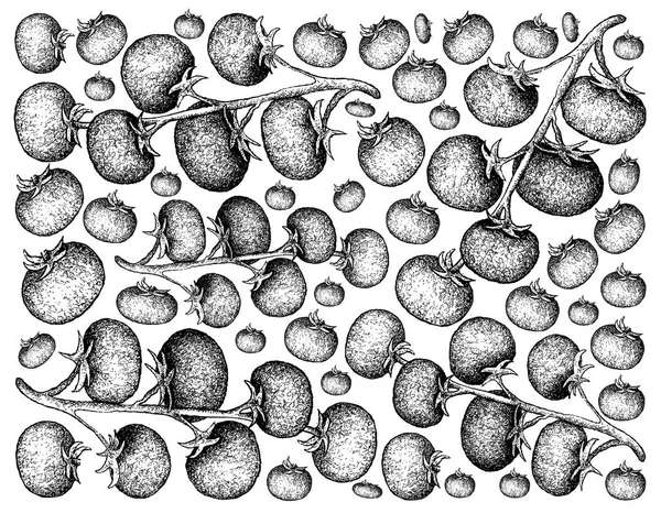 Ручной рисунок фона из свежих помидоров винограда — стоковое фото