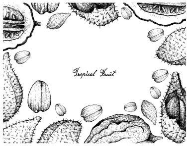 Luk Rakam ve Etrog meyve el çizilen çerçeve