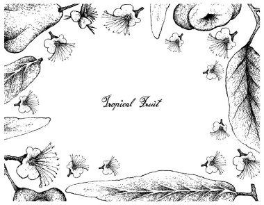 Java ve sulu Rose Apple el çizilen çerçeve