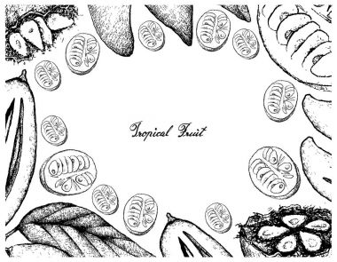 Olgun Madan ve keşiş meyve el çizilen çerçeve