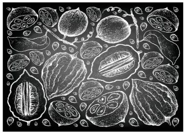 Monk meyve ve Etrog kara tahta üzerinde çizilmiş arka plan el