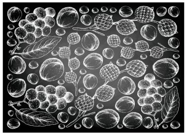 El çekilmiş Rattan ve Langsat meyve kara tahta üzerinde