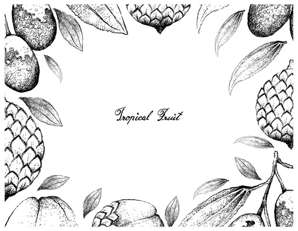 Marco dibujado a mano de frutas de Jujube y Rattan — Vector de stock