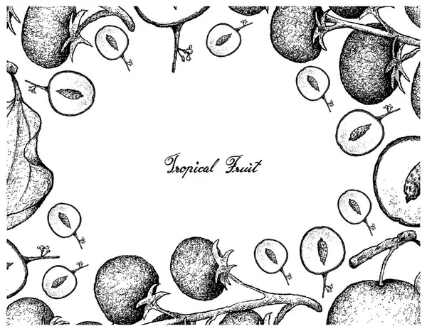Elle çizilmiş kare Hint hünnap ve üzüm domates