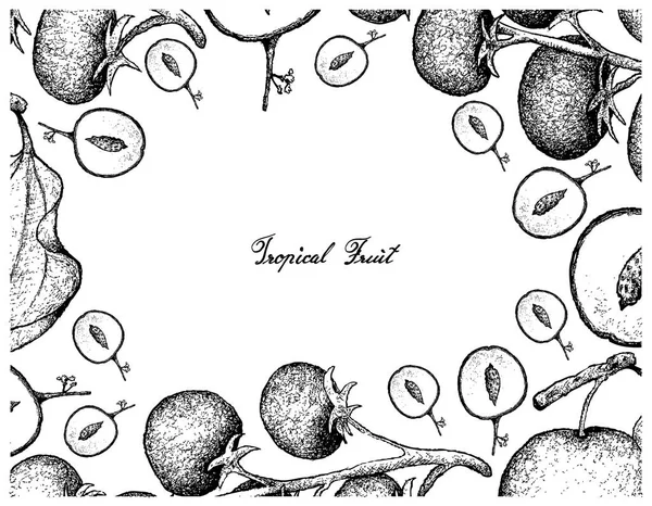 Ručně kreslenou rám indické Jujube a hroznové rajčata — Stockový vektor
