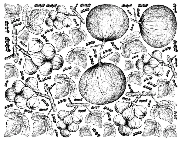 Fondo dibujado a mano de Santol maduro dulce y racimo Fig. — Archivo Imágenes Vectoriales