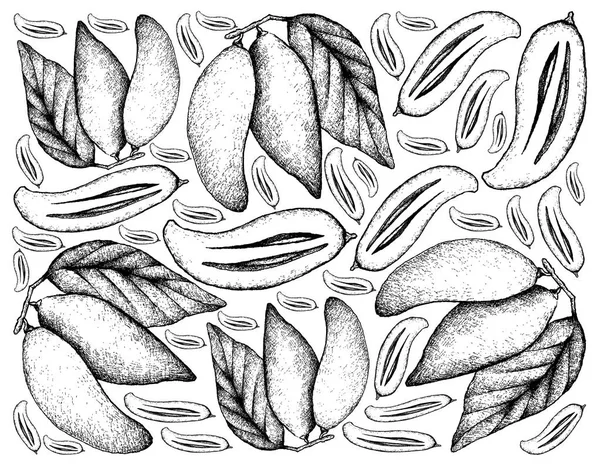 Fondo dibujado a mano de frutas madrinas maduras — Archivo Imágenes Vectoriales