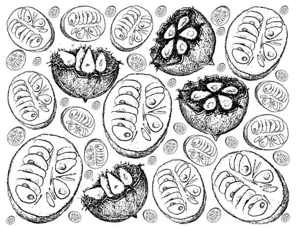 Fundo desenhado à mão de frutas frescas de monge —  Vetores de Stock