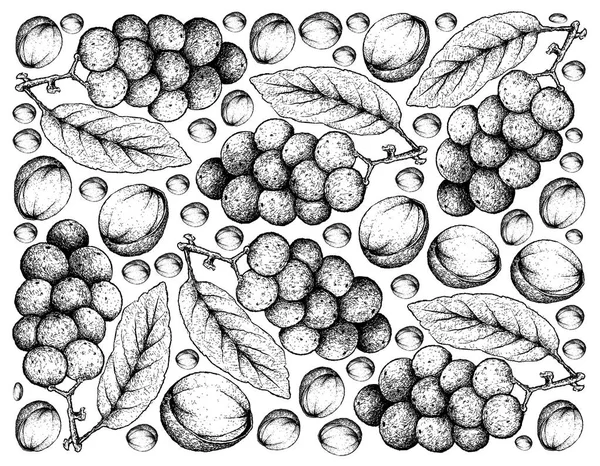 ランサの新鮮な果物の描かれた背景を手します。 — ストックベクタ