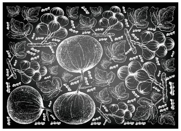 Hand Drawn Santol en Cluster Fig op schoolbord — Stockvector