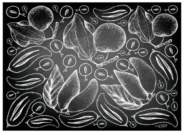 手画印第安枣和马丹水果在黑板上 — 图库矢量图片