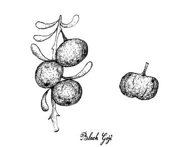 El beyaz arka plan üzerinde siyah Goji çekilmiş