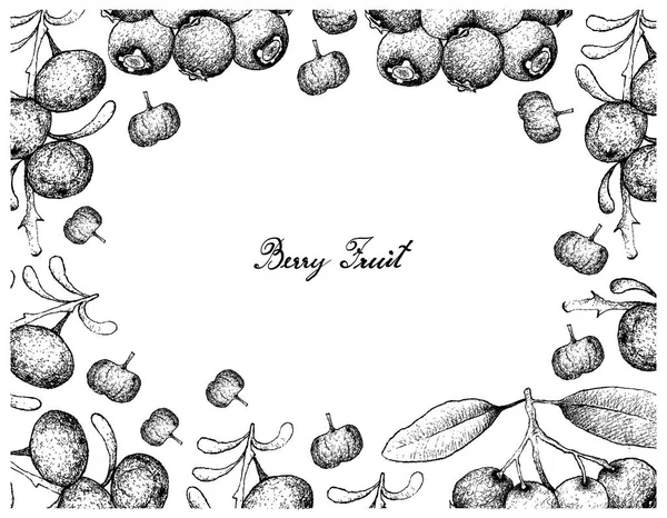 Marco dibujado a mano de Lilly Pilly azul y Goji negro — Vector de stock