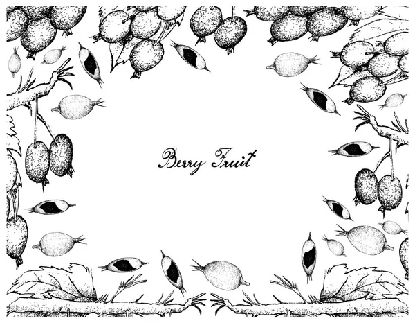 Cadre de confiture de mûres dessiné à la main Fruits et mûres — Image vectorielle