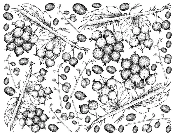 蓝莓亚麻百合和黑醋栗的手绘背景 — 图库矢量图片