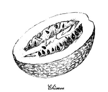 El Chiverre beyaz zemin üzerine çekilmiş