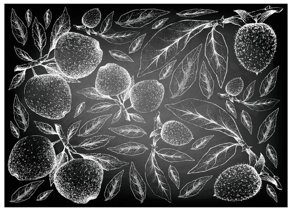 Manzana Dibujada a Mano y Diospyros Rhombifolia Frutos en pizarra — Foto de Stock