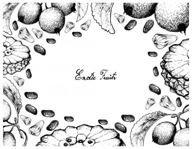 El çizilen çerçeve Crabapple ve Pindaiva meyve