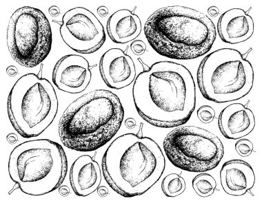 Taze Apricote meyve çizilmiş arka plan el