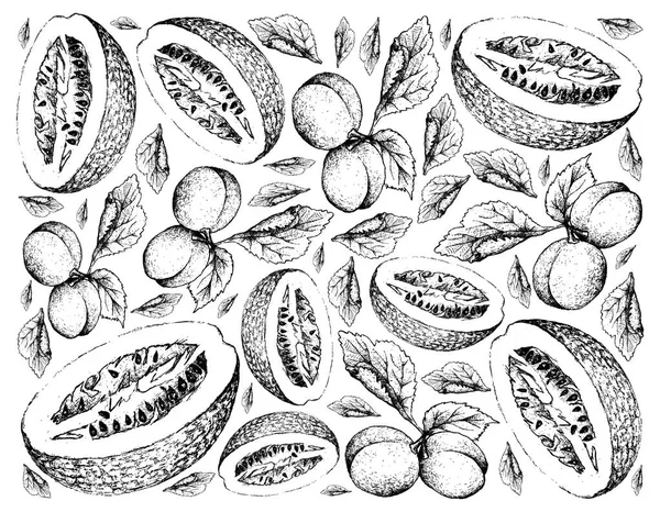 Hand dras bakgrunden av Europeiska plommon och Chiverre frukter — Stock vektor