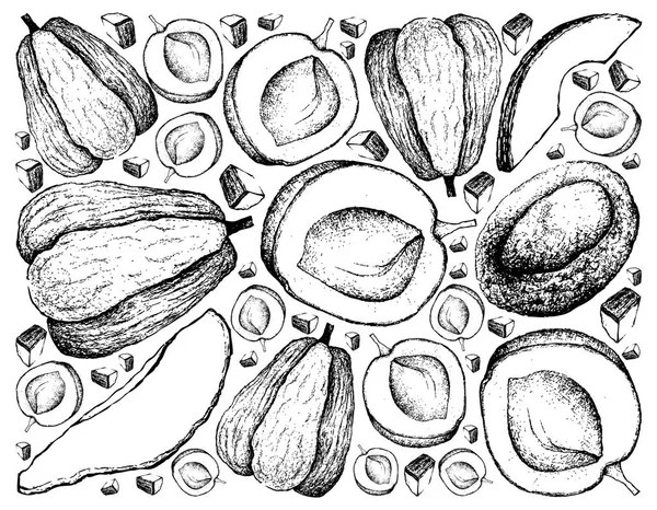 Sfondo disegnato a mano di frutta di albicocca e chayote — Vettoriale Stock