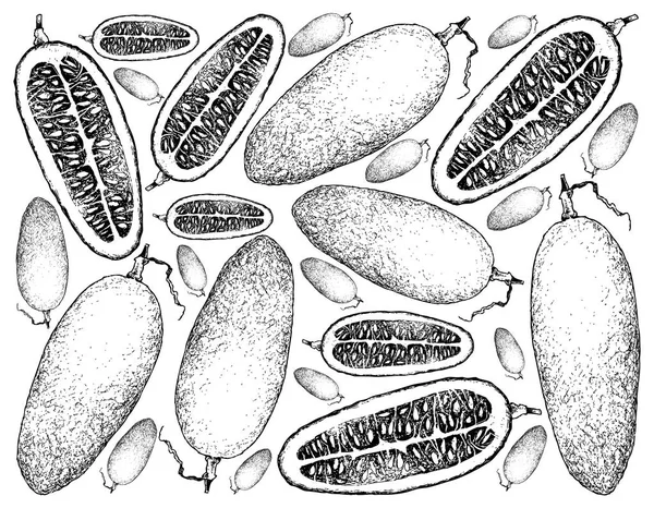 Fondo dibujado a mano de frutas frescas de Cassabanana — Archivo Imágenes Vectoriales