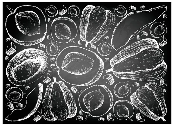 手画 Apricote 和佛手瓜水果在黑板上 — 图库矢量图片