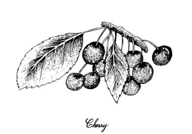 El beyaz zemin üzerine kırmızı kiraz çekilmiş