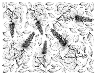 Hand Drawn Background of Lizard's Tail Plants clipart