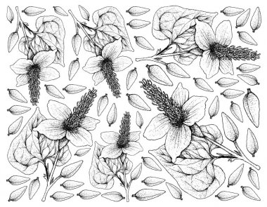 Hand Drawn Background of Lizard's Tail Plants clipart