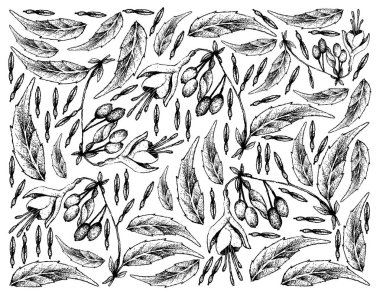 Elle çizilmiş arka plan, Brinco de Princesa Frutis