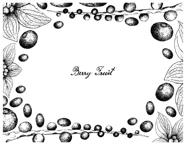 Marco dibujado a mano de bayas y Bunchberries de Acai — Archivo Imágenes Vectoriales