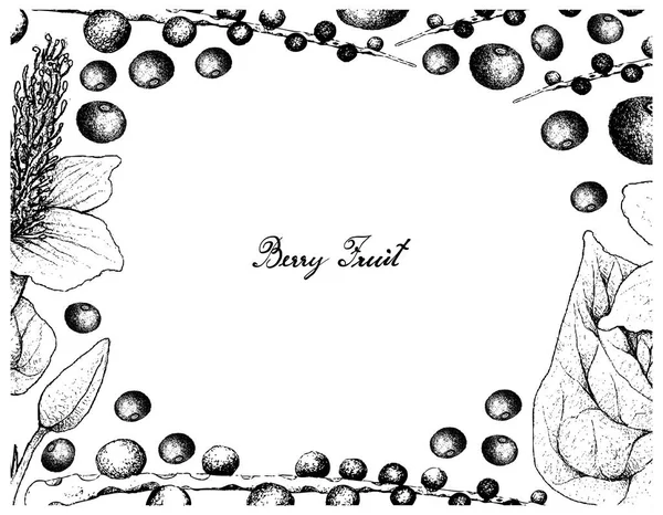 Cadre dessiné à la main de baies d'açai et la queue de lézard — Image vectorielle