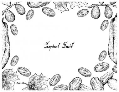 El çizilen çerçeve tarihleri ve Babaco Papaya meyve