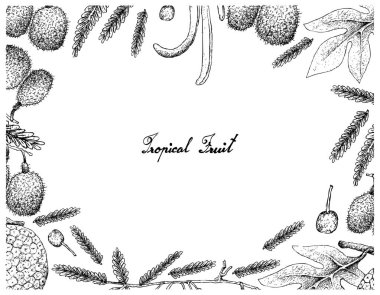 Meyveler ve Afrika Locust Bean meyve el çizilen çerçeve