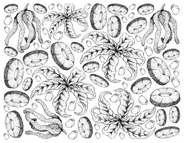 Ananas ve Ambaiba meyve çizilmiş arka plan el